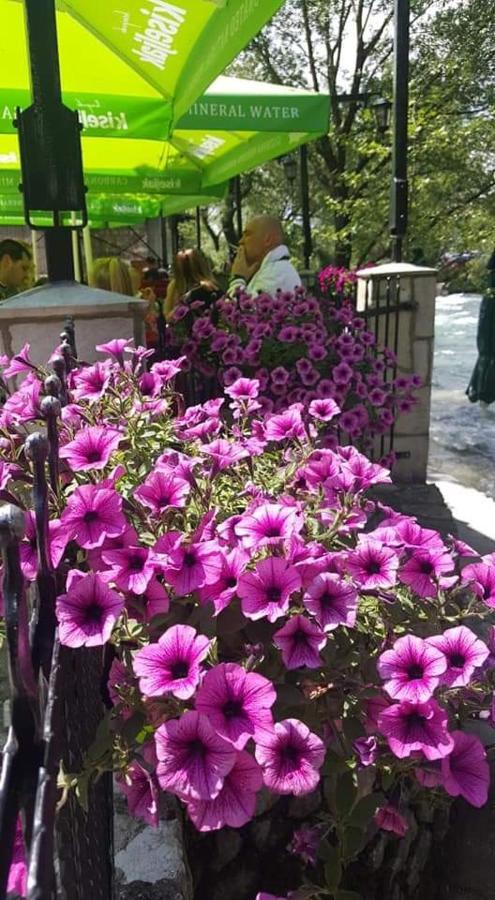 Villa Bunski biser Blagaj Exteriör bild